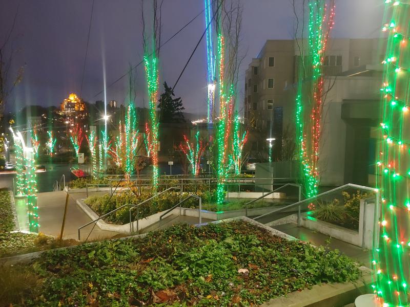 Holiday lights on Yesler pathways