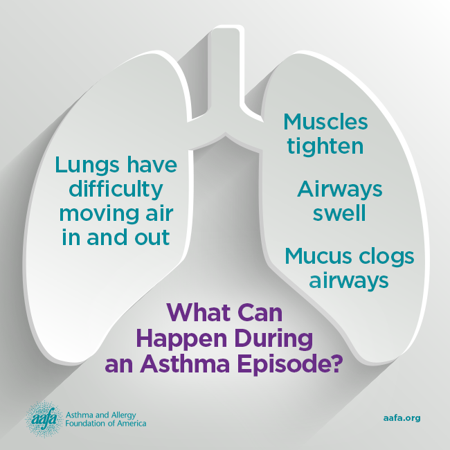 Illustration showing what happens during an asthma episode