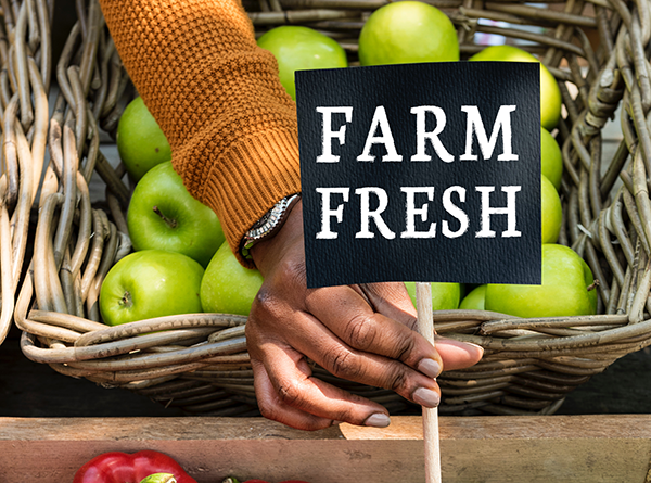 Basket of apples with "Farm Fresh" sign