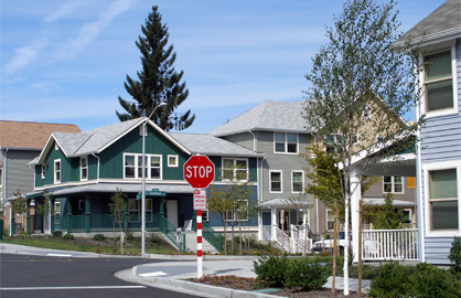 Rainier Vista homes