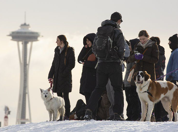 People and dogs standing on snowy ground with Seattle's Space Needle in background