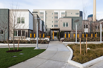 Raven Terrace