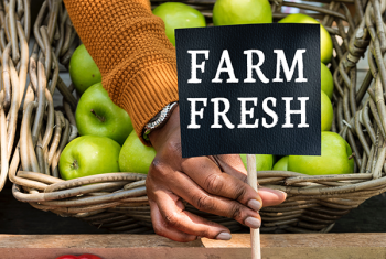 Basket of apples with "Farm Fresh" sign