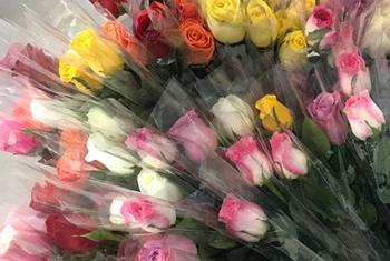 Bouquet of roses