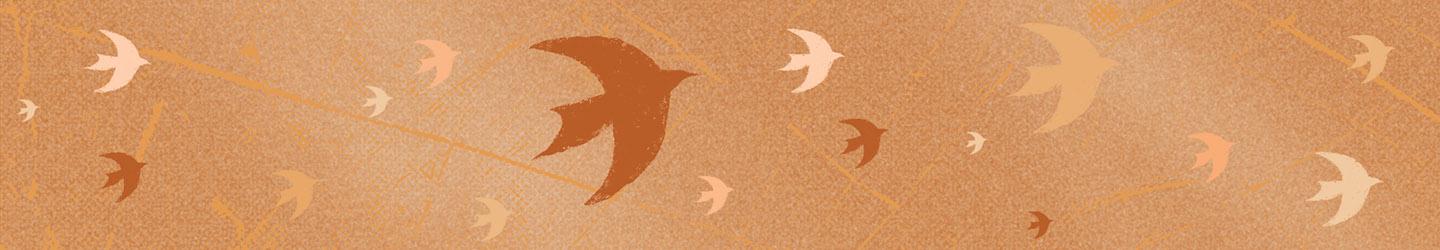 Reintegration Housing web graphic