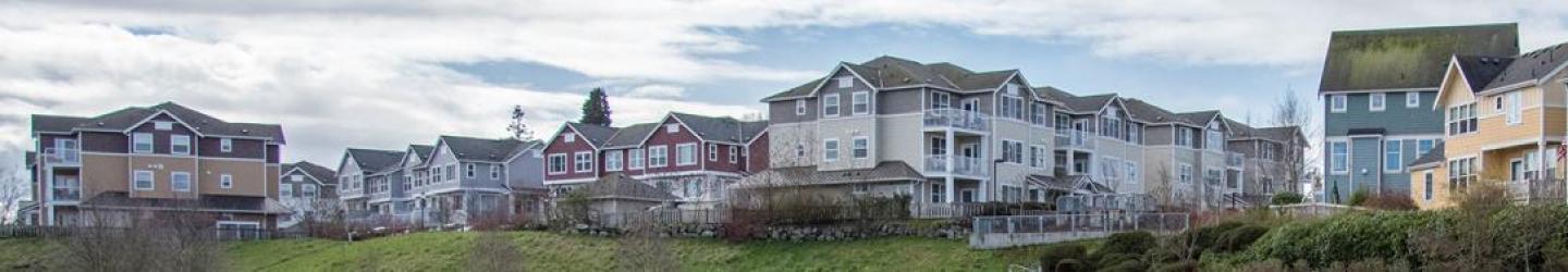 Houses near a pond
