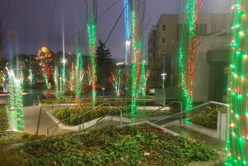 Holiday lights on Yesler pathways