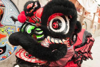 Closeup of Lion Dancer