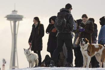 People and dogs standing on snowy ground with Seattle's Space Needle in background