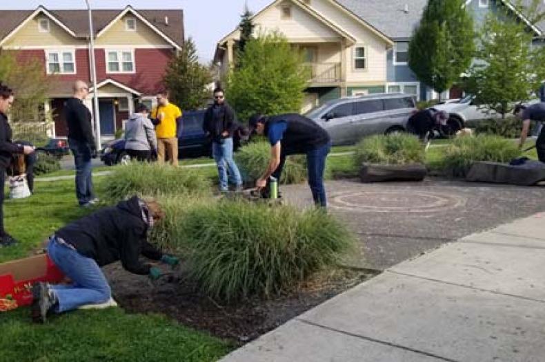 Group of volunteers plant new starts at Rainier Vista
