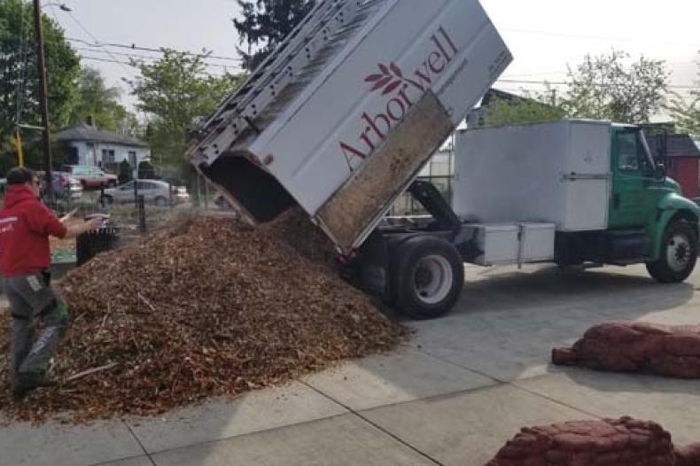 Volunteer stands in front of truck dumping fresh dirt