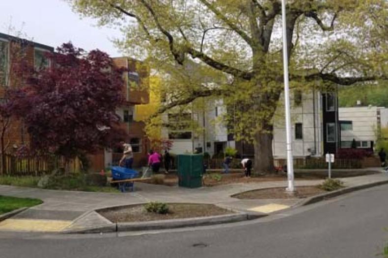 Volunteers move wheelbarrows on grounds at Rainier Vista