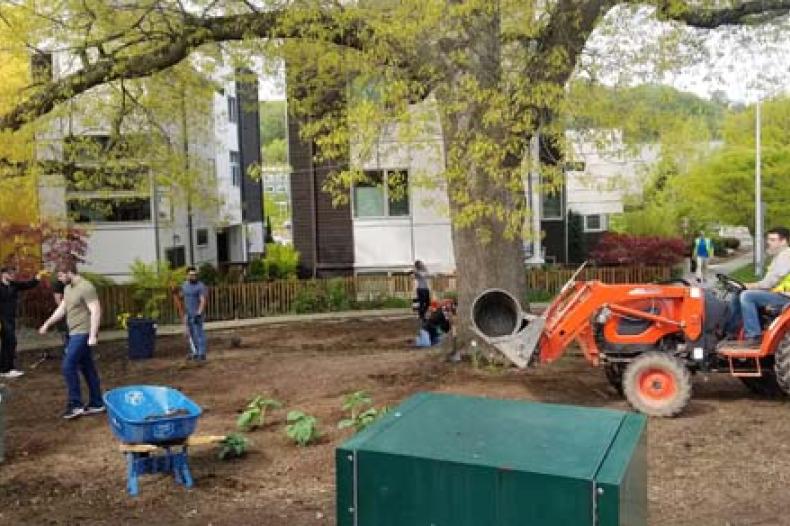 Volunteers preparing ground for planting in Rainier Vista