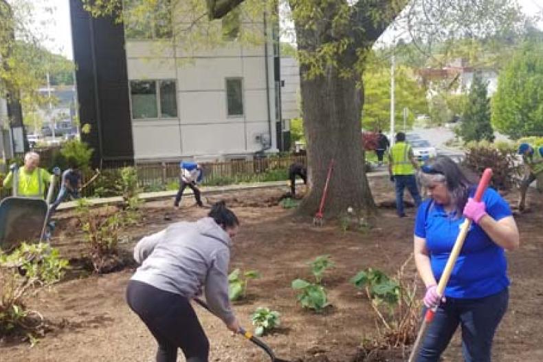 Volunteer men and women dig and rake grounds at Rainier Vista