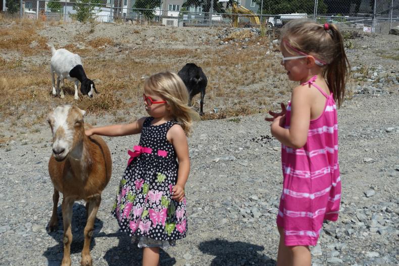 Two children and a goat