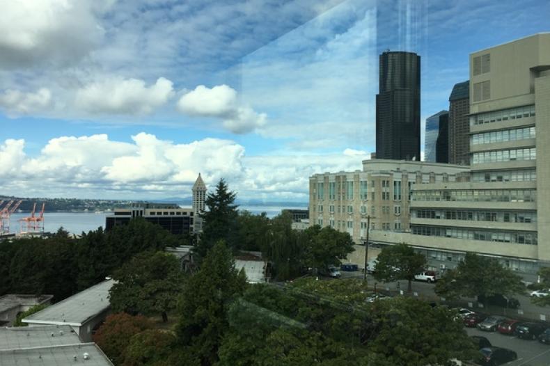 Cityscape of some buildings and Elliott bay from a unit at Red Cedar apartments