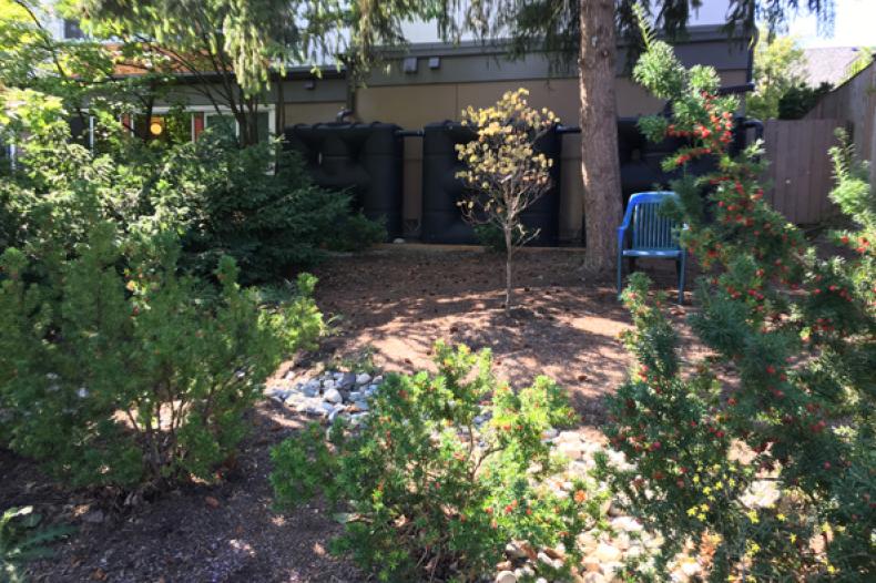 Grounds at Willis House apartment building