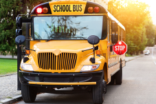 The bus