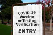 'Entry for Covid-19 Vaccine or Testing Verification'