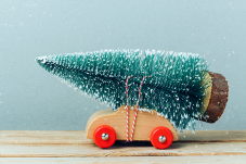 600-christmas-tree.png