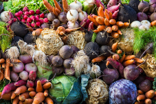 600-farmers-market.png