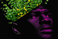 Seattle Black Film Festival