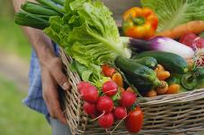 600-vegetables-fruits.jpg