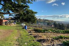 Yesler farm 
