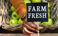 Basket of apples with "Farm Fresh" sign