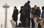 People and dogs standing on snowy ground with Seattle's Space Needle in background
