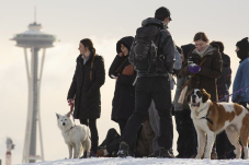 People and dogs standing on snowy ground with Seattle's Space Needle in background