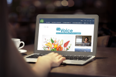 The Voice on a laptop 