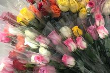 Bouquet of roses 