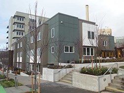 Raven Terrace